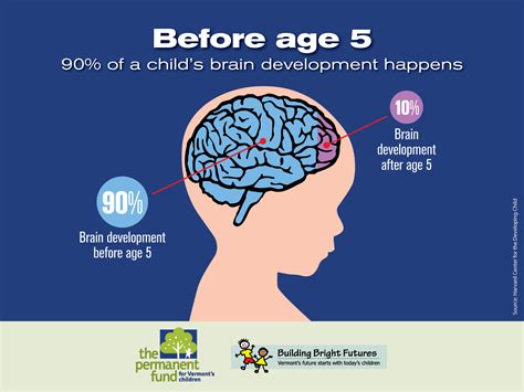 By the second stage of <b>development</b>, the <b>brain</b> is roughly 80% of the size of an adult's. . Dua for child brain development